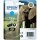 Original Epson 24 T2422 Cyan Druckerpatrone (5.1ml, ~240 Seiten)