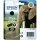 Original Epson 24XL T2431 Schwarz Druckerpatrone  (10ml, ~500 Seiten, XL)